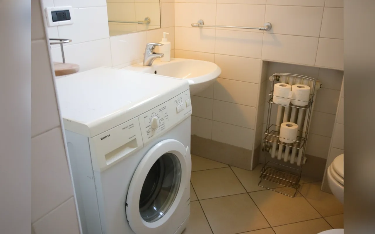 Camera con bagno privato — Appartamenti Serlio 24, Bologna (Emilia-Romagna) (foto 54)